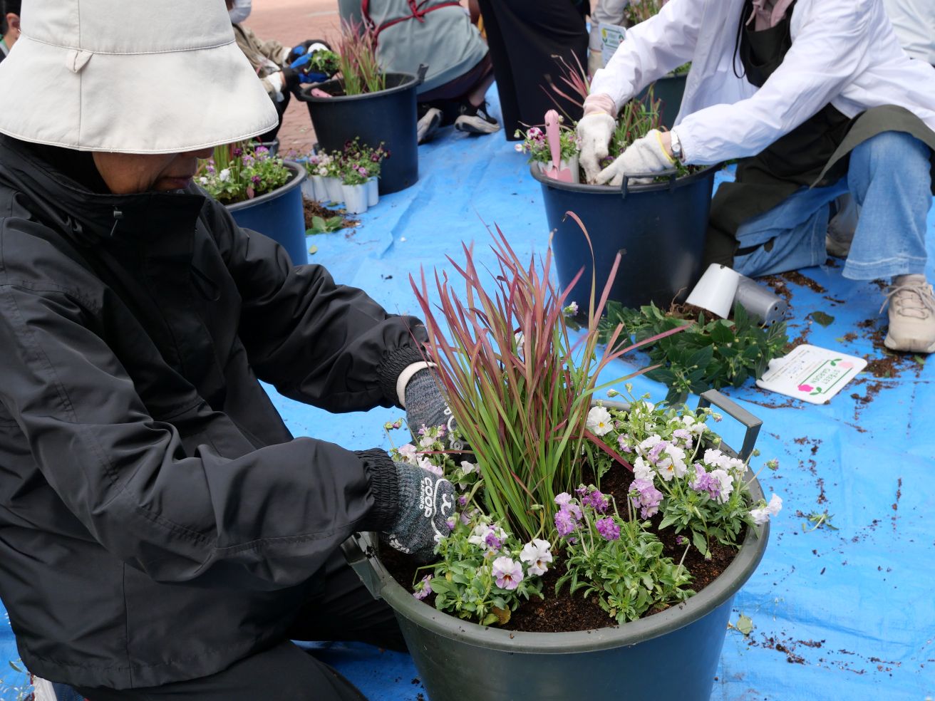小プランタの植替えのようす