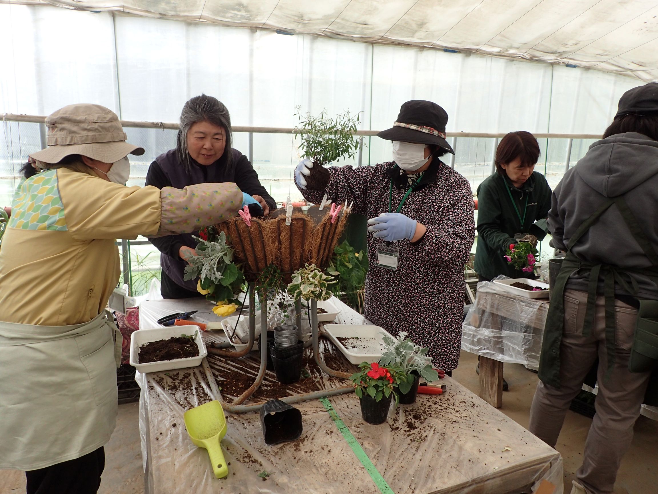 一緒に植えながら指導している土谷講師