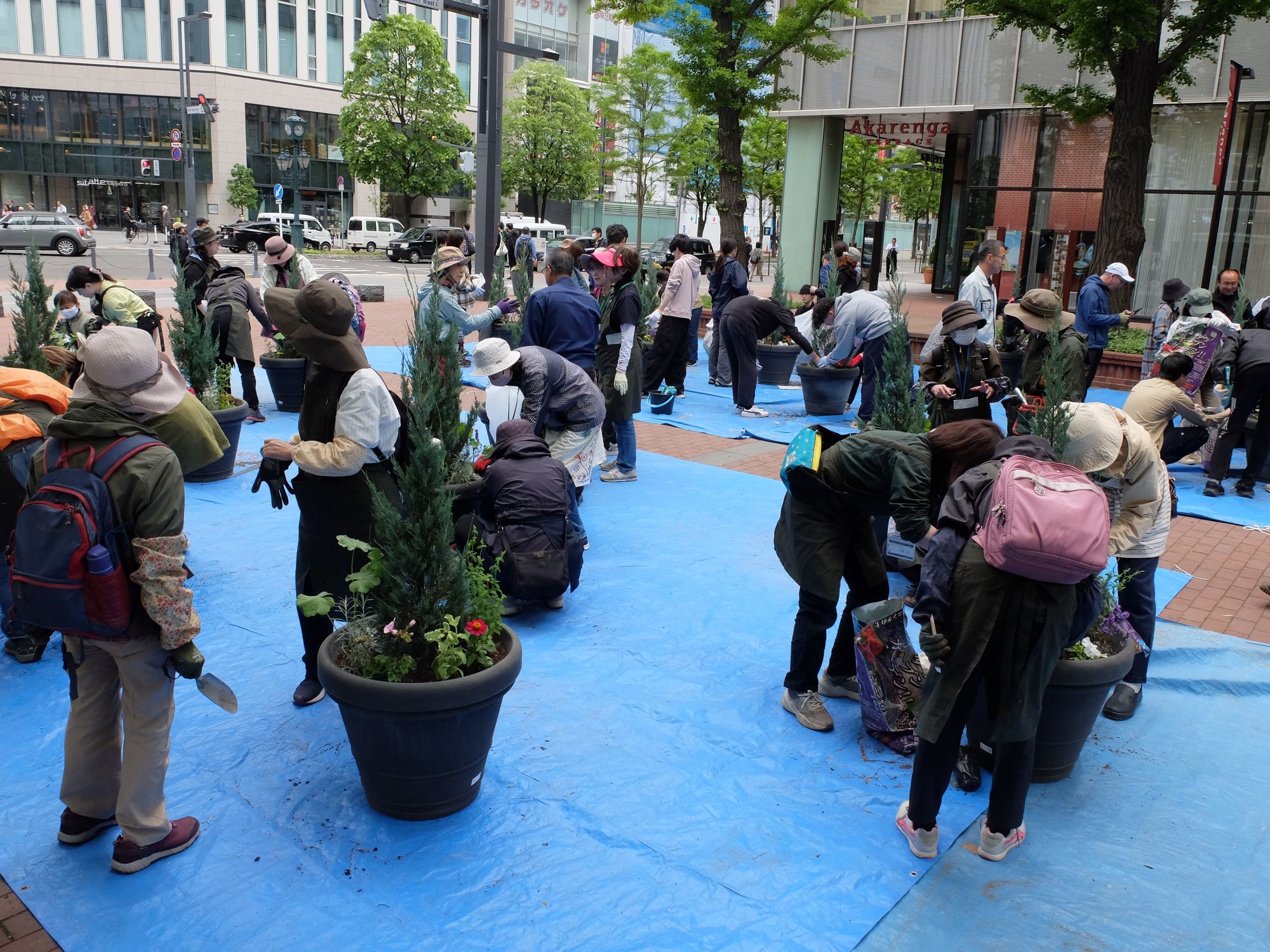 植栽の様子（全景）