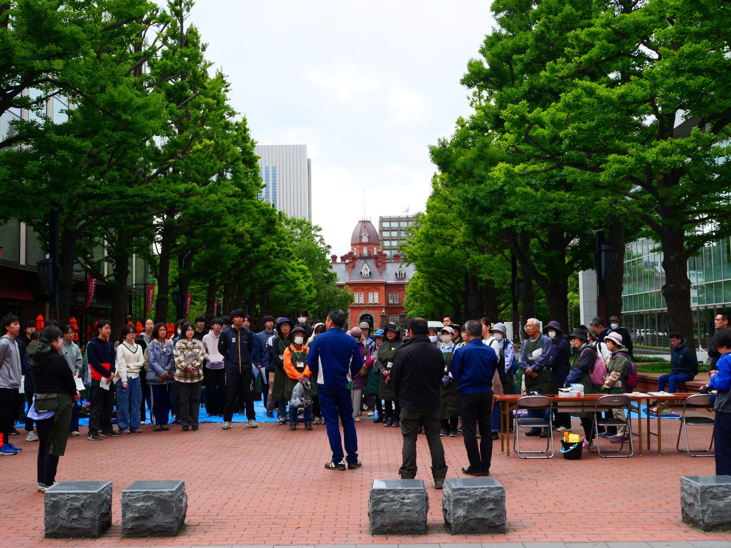 はじまりの様子