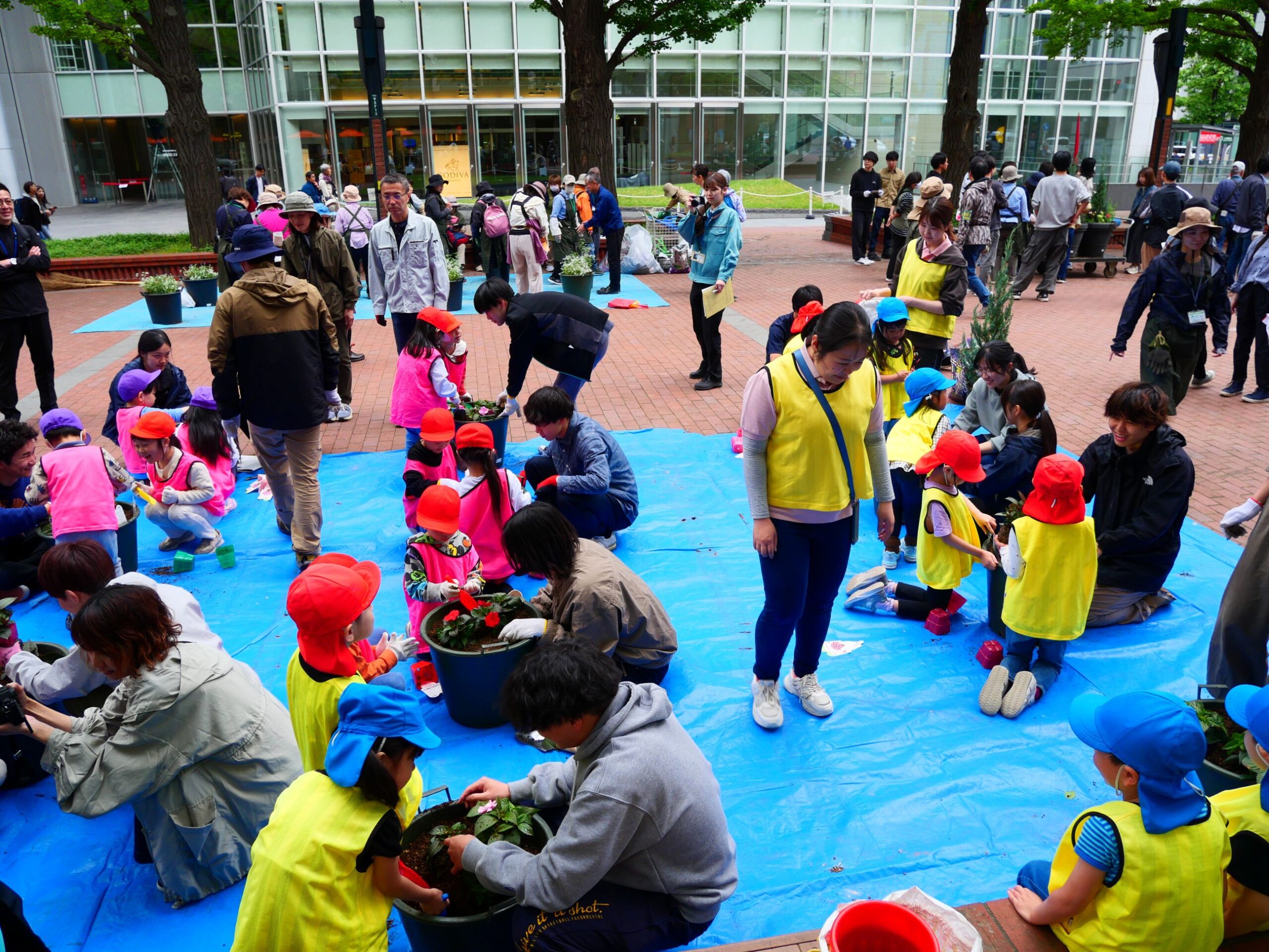 保育園児と大学生が一緒に植栽している様子