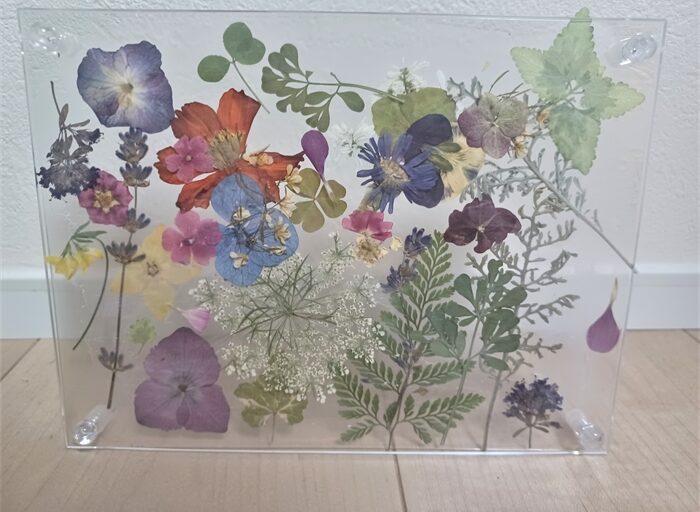 オンライン体験参加者の作品