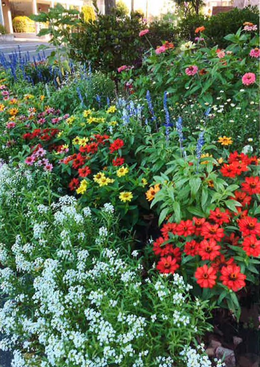 タウンガーデナーの活動写真