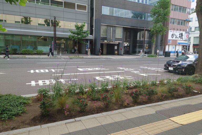 補植後の花壇の様子