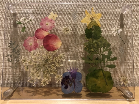 オンライン参加者の作品