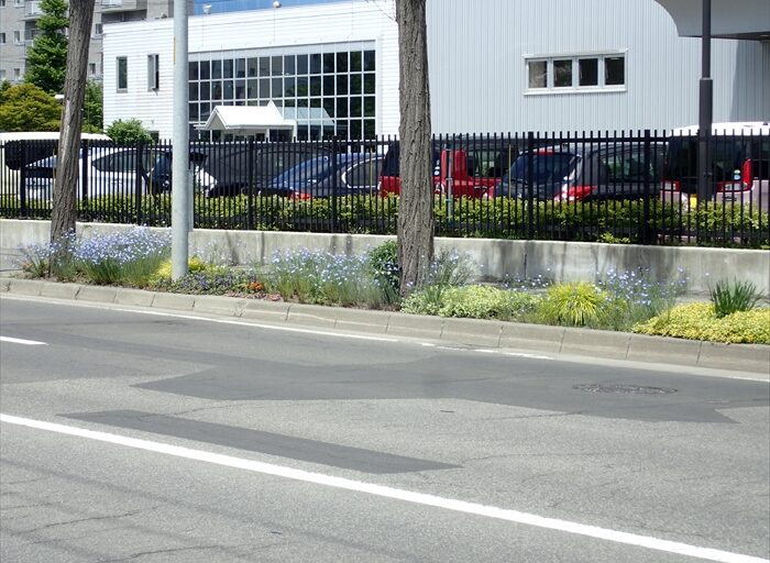 花と緑のボランティア団体の活動の様子