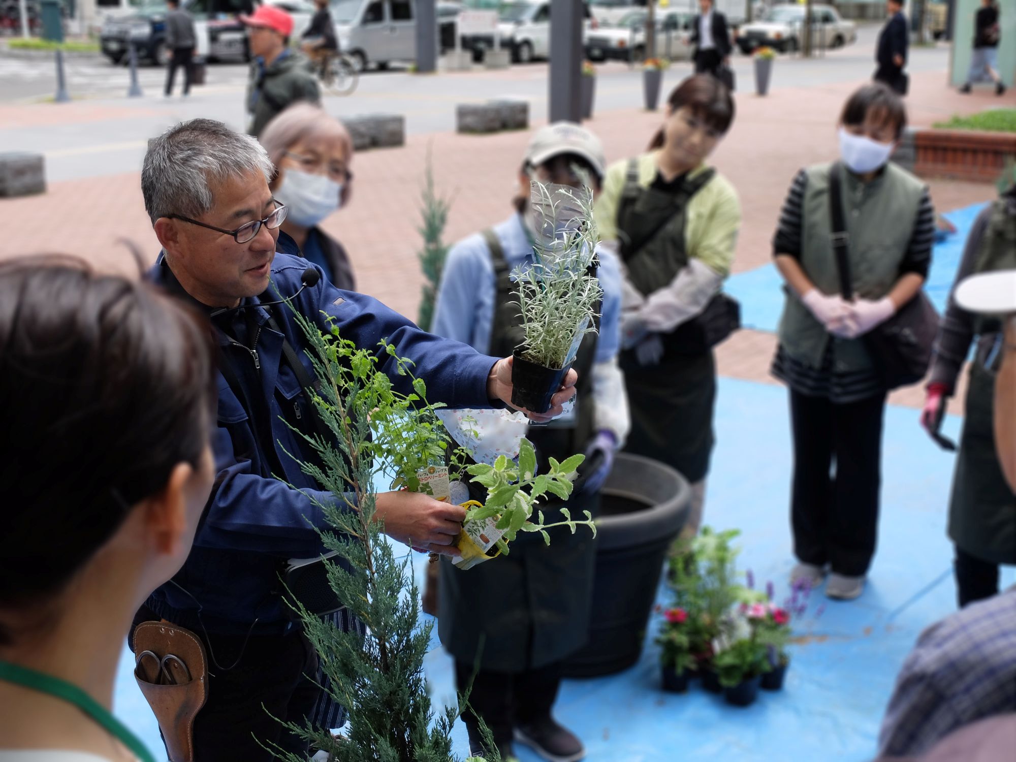 花苗について説明する岡村さん