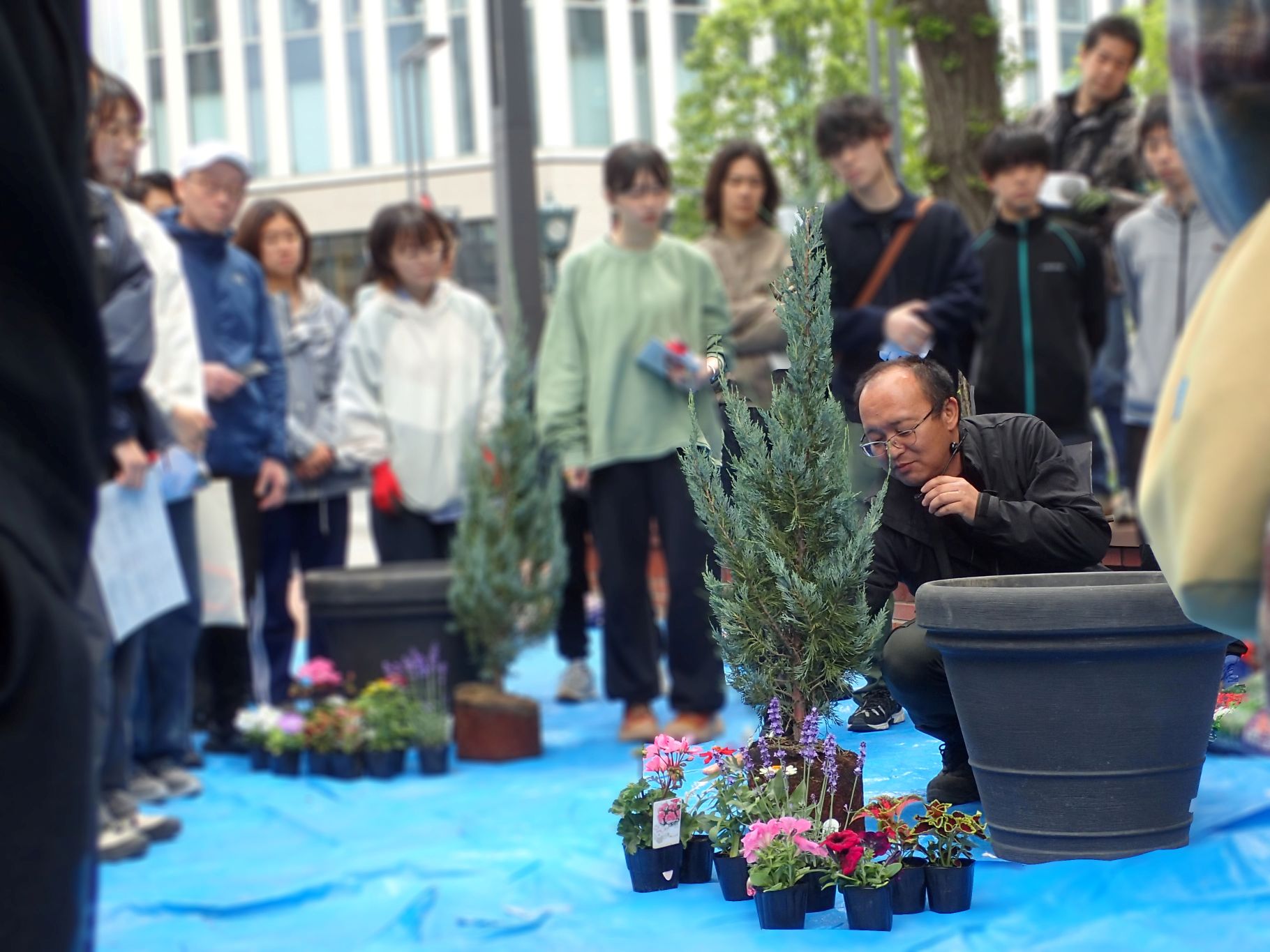 花苗について説明する飛塚さん
