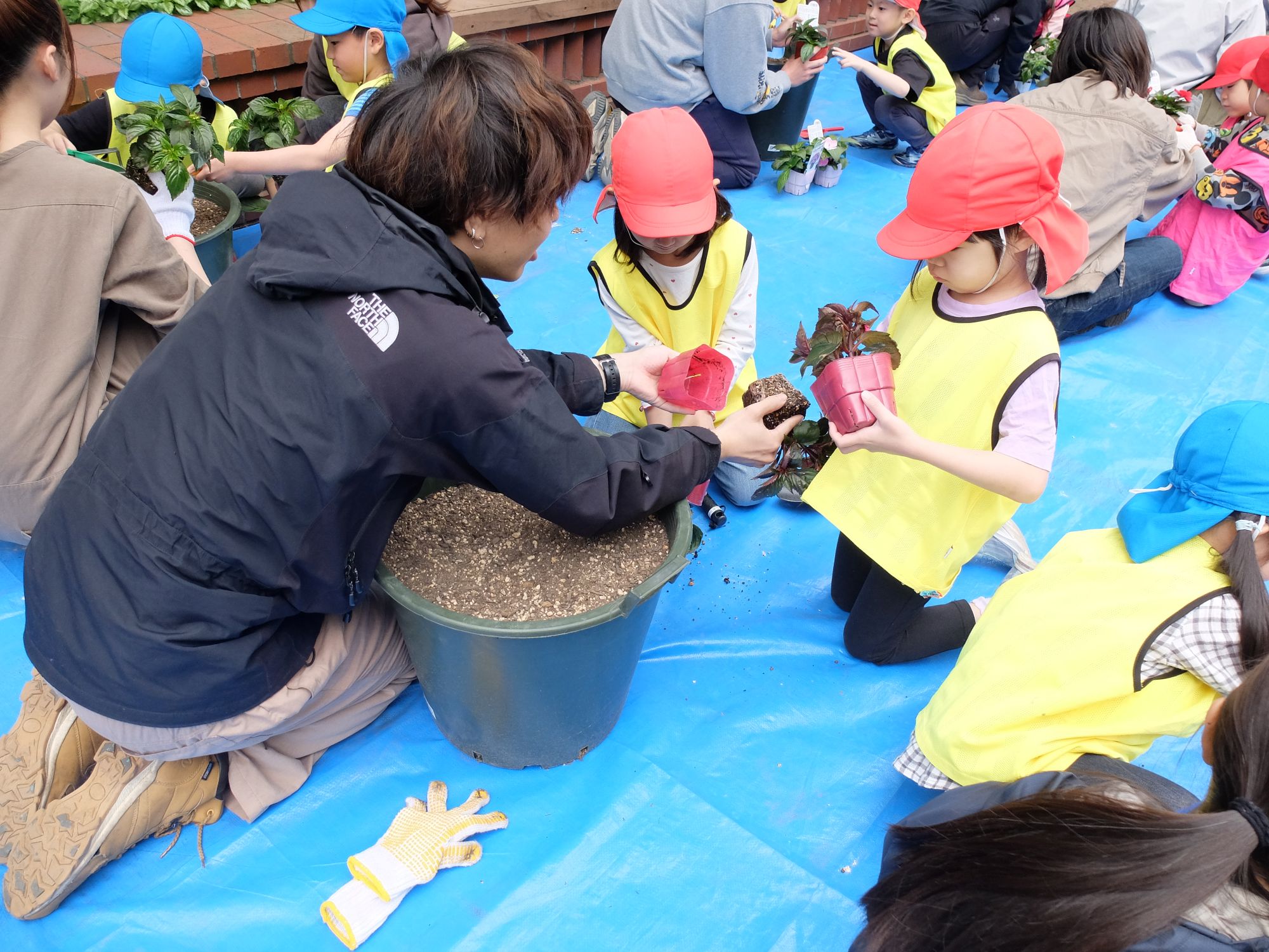 大学生が保育園児に植え方を教えている様子