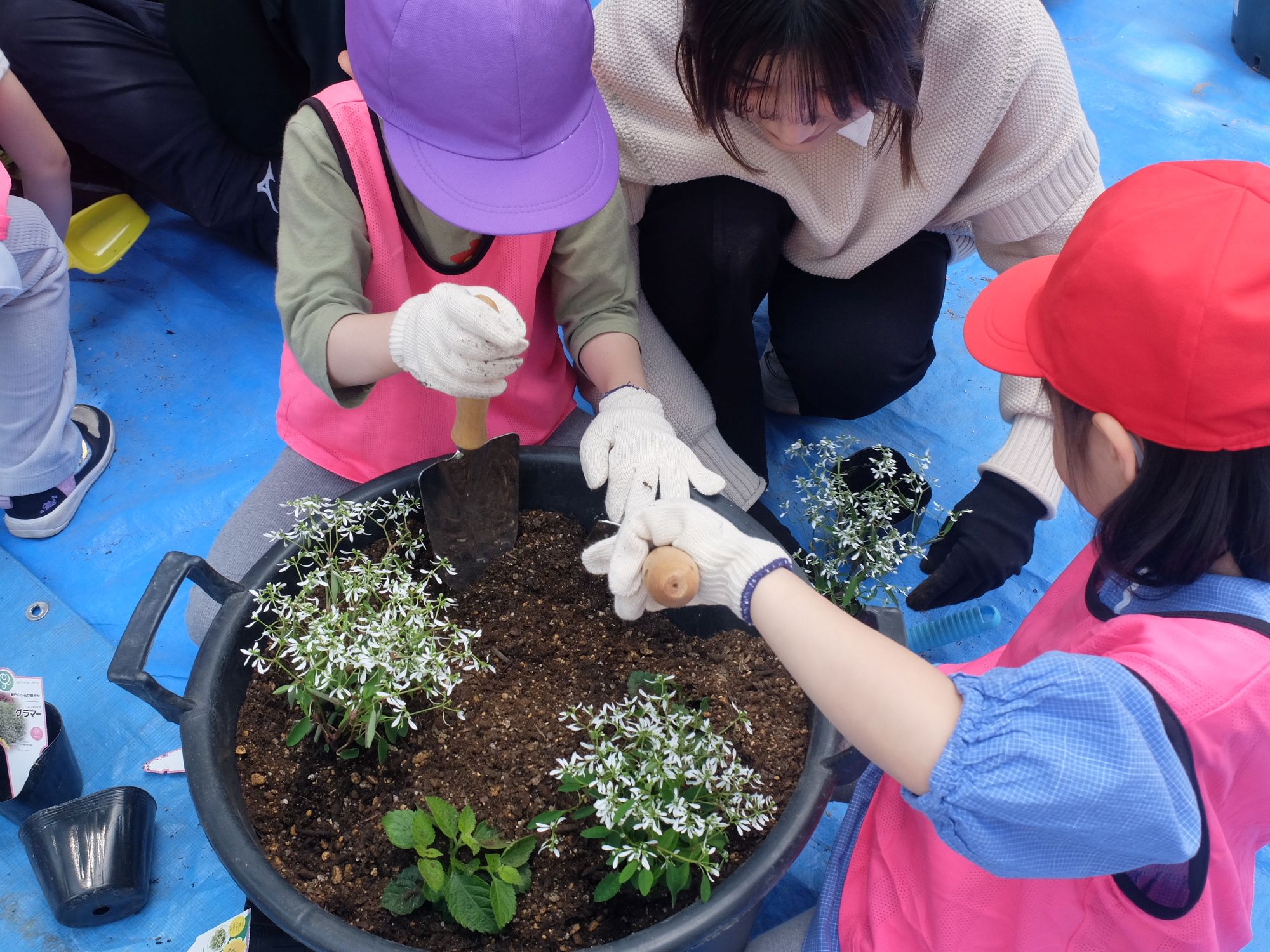子どもに植え方を教えているようす