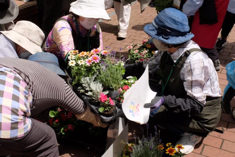 苗を選んでいる様子