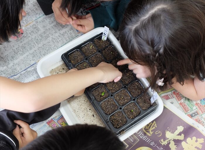 穴を開けている