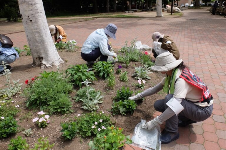永山まちの森の活動の様子