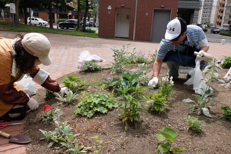 永山まちの森の活動の様子
