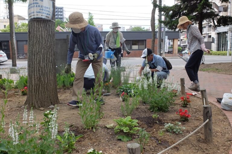 永山まちの森の活動の様子