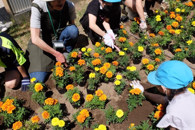 花苗植えを教えている
