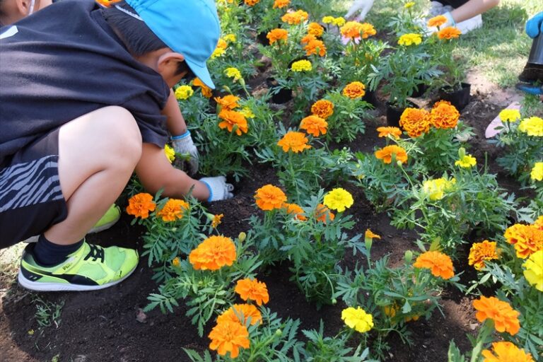 花苗を植えている
