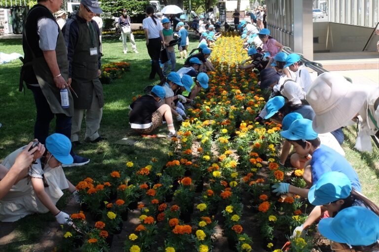 花苗植えの様子