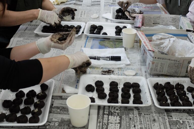 たねだんごづくりの様子