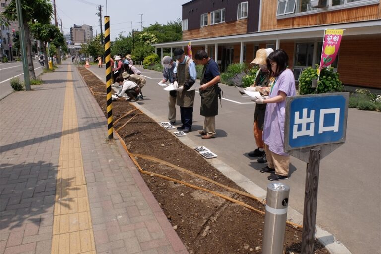 たねだんごの花壇