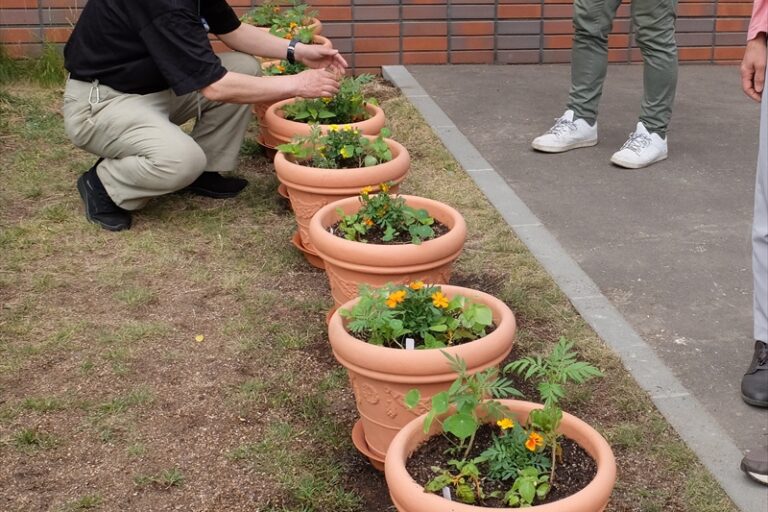 自分の担当したクラスのプランターを見るタウンガーデナーさん