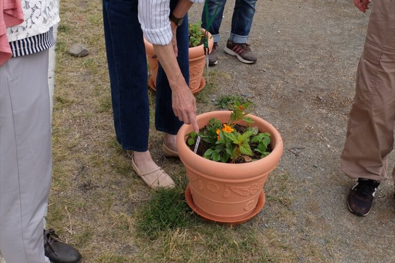 自分の担当したクラスの成長を見るタウンガーデナーさん