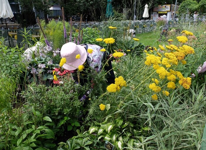 ガーデニングリラの会の活動