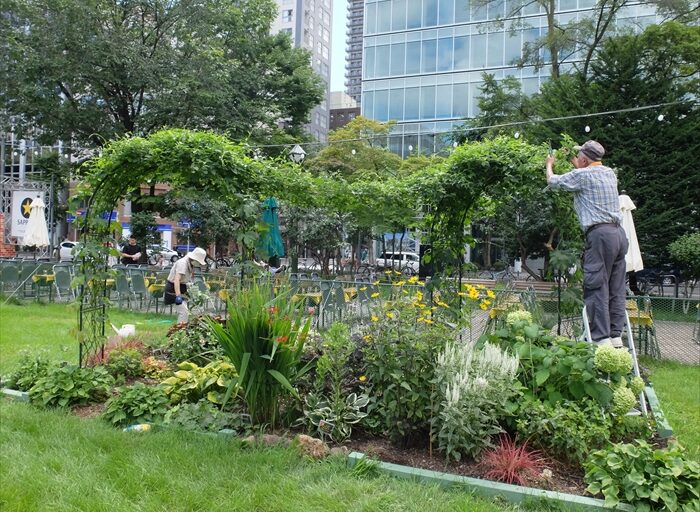 ホップの手入れのようす