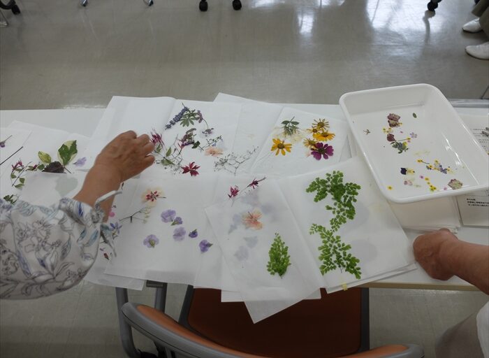 参加者が持ってきた押し花