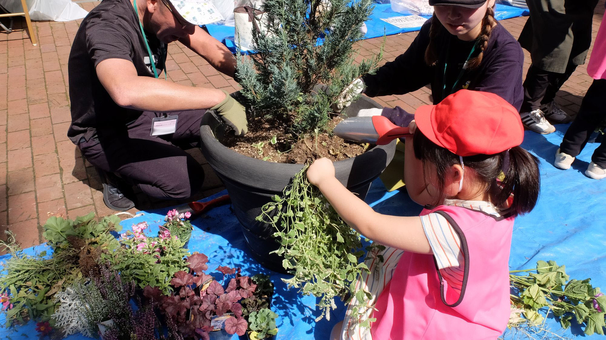 抜取のようす(子ども1)