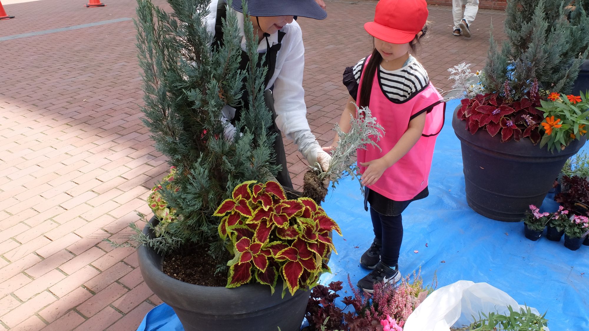 抜取のようす(子ども2)