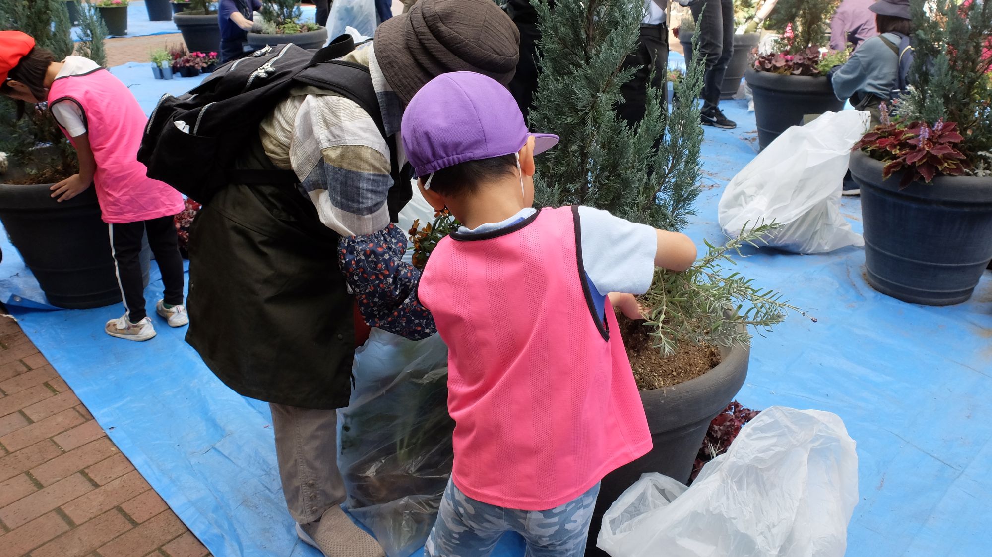 抜取のようす(子ども3)