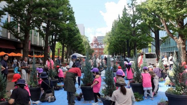 札幌駅前ストリートガーデン植替えのようす