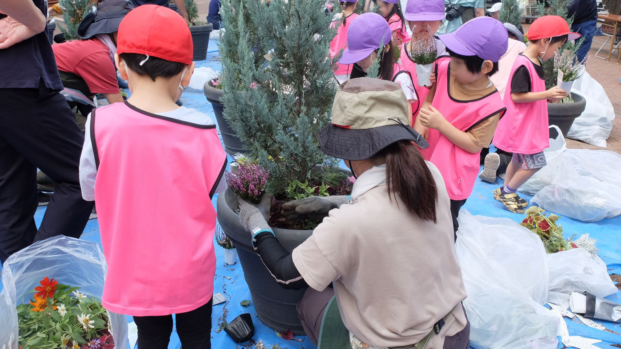 植栽のようす_1