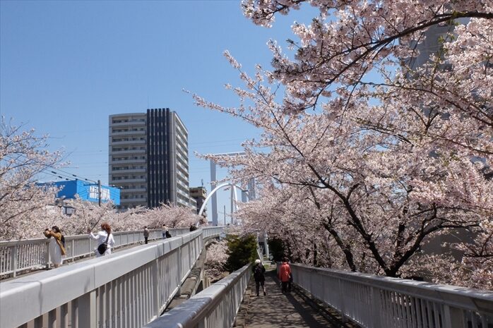 白石こころーど環状夢の橋付近の様子