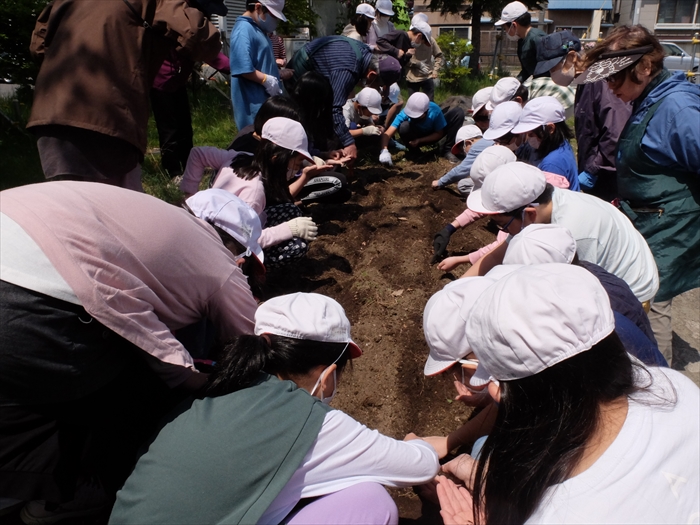 種まきをしている