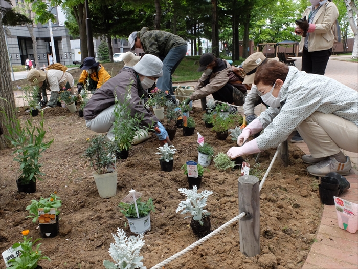 花苗植えの様子