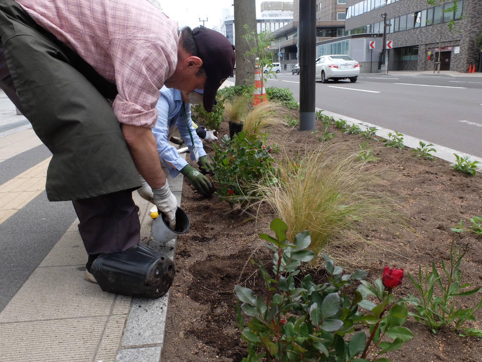 花苗を植える様子