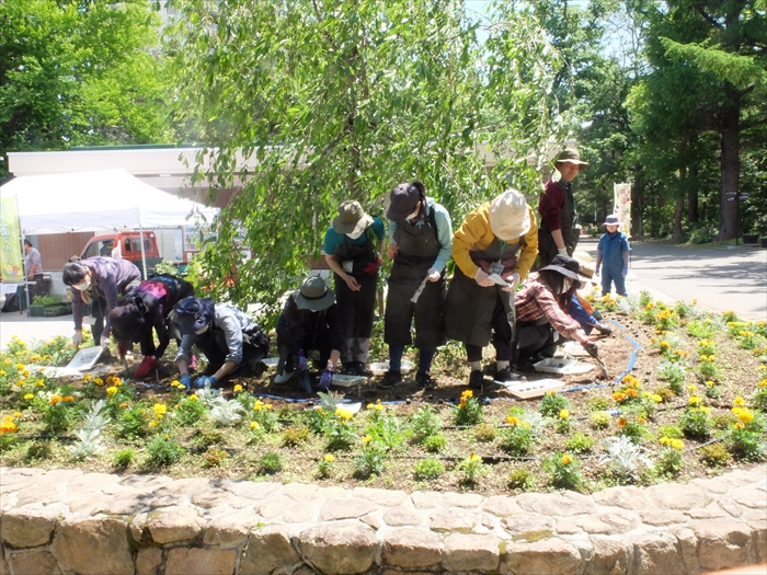 円山公園の花壇でたねダンゴを植えている様子