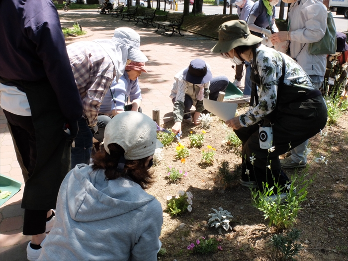 みんなで切る位置を確認している