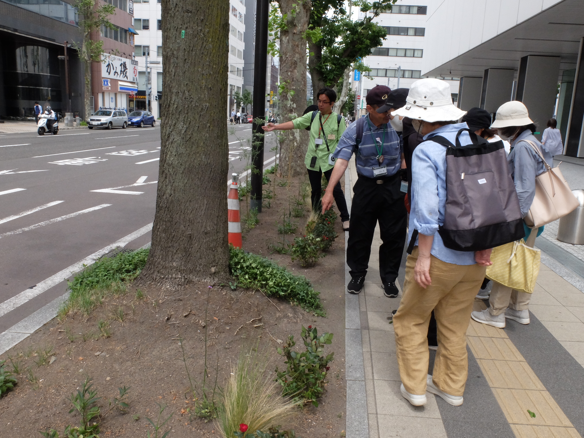 ます花壇を観察する様子