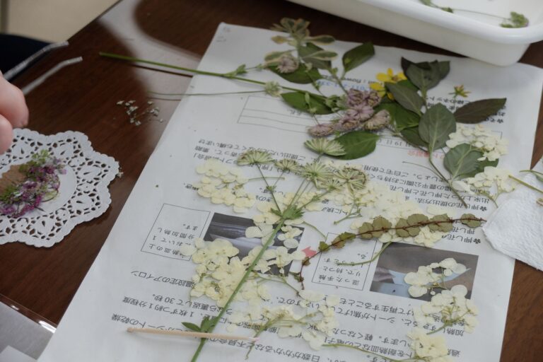 押し花つくり隊参加者が作った押し花