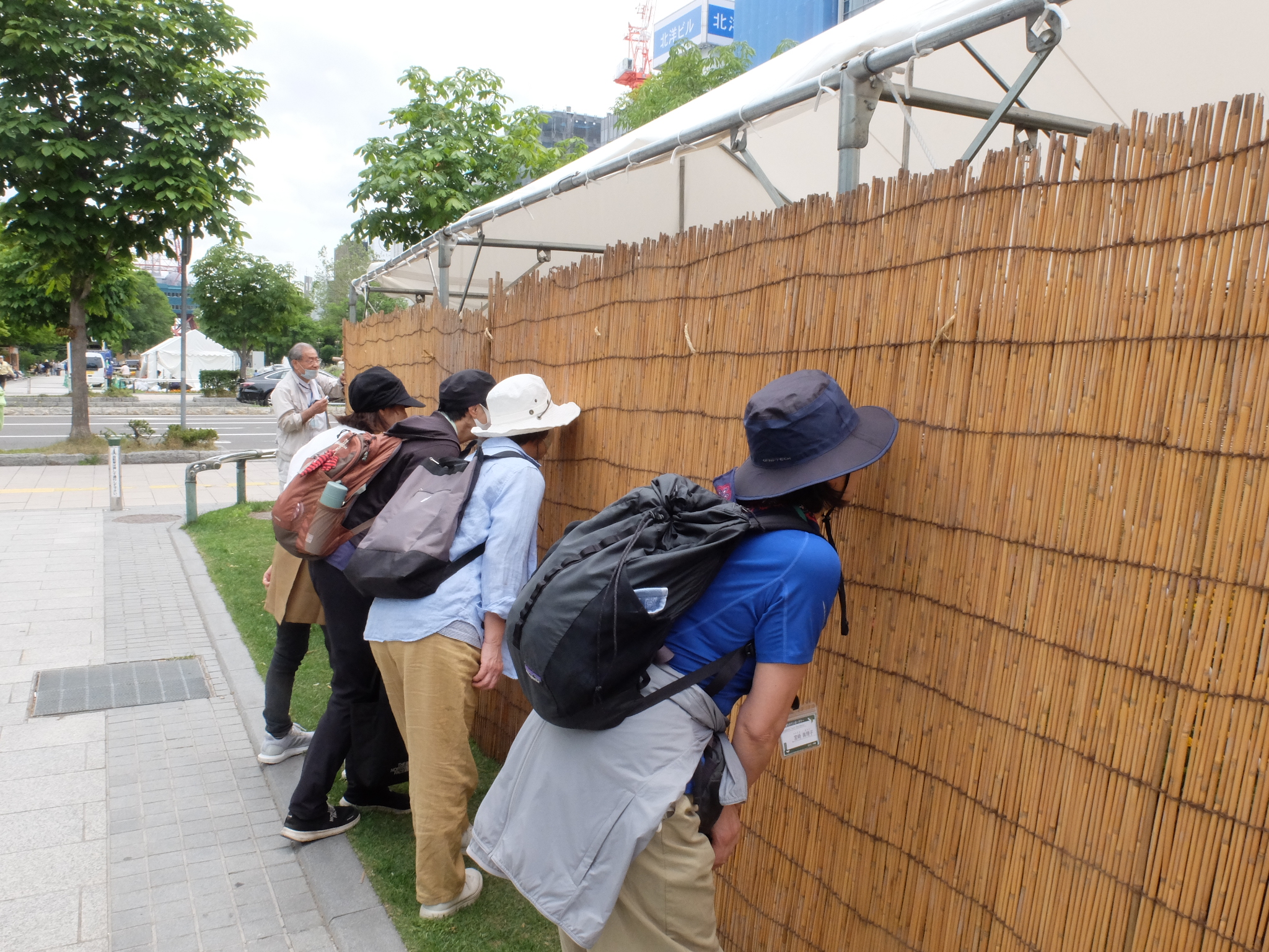 テント内を覗き込む様子