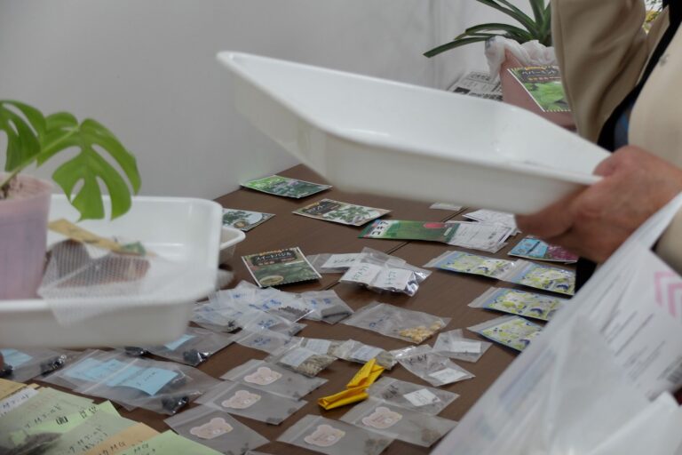 タネ・苗交換会で集まったタネのようす