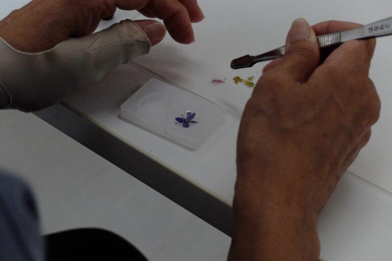 レジン液を入れている