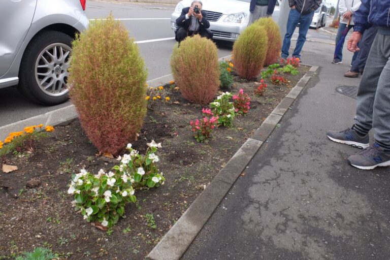 第46回ます花壇優良制作者表彰された西第二町内会花壇