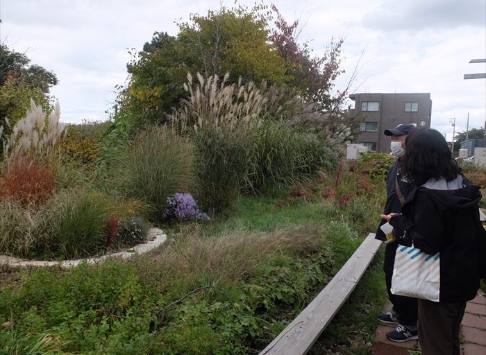 秋桜ふれあい花壇の秋の様子