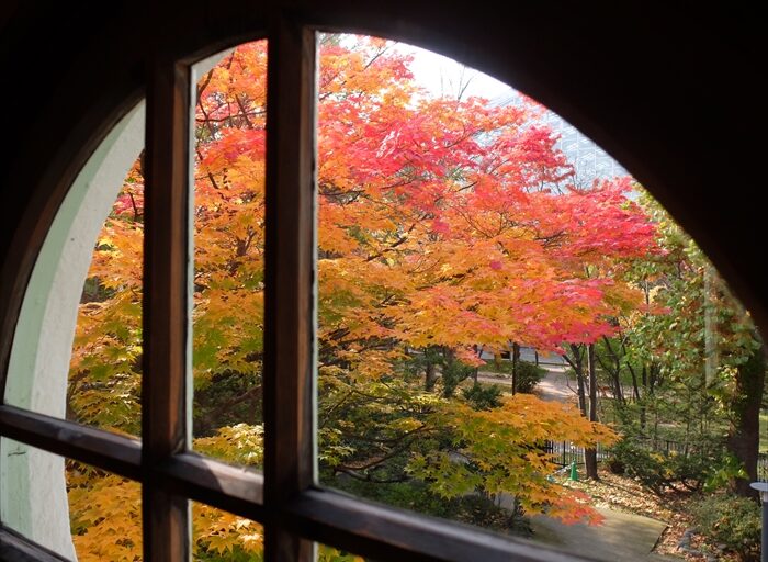 旧永山邸の真ある窓からの眺め