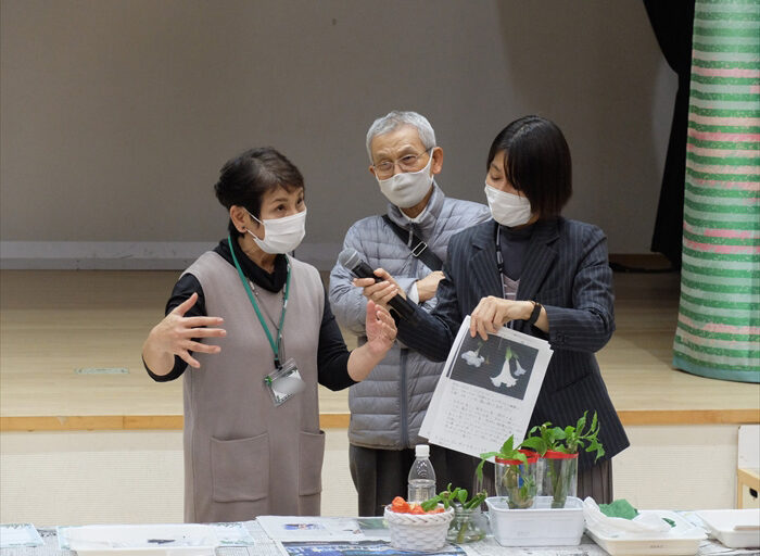 エンジェルストランペットの育て方を説明している