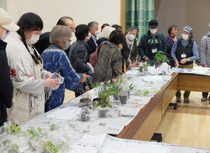 苗をご覧になっている様子